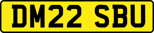 DM22SBU