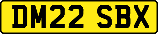 DM22SBX