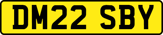 DM22SBY