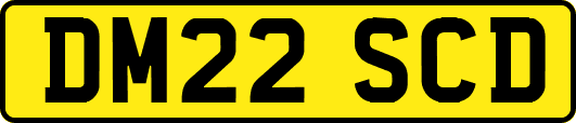 DM22SCD