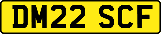 DM22SCF