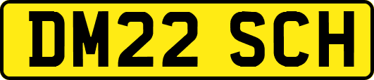 DM22SCH