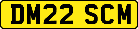 DM22SCM