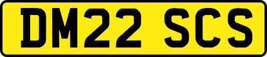 DM22SCS