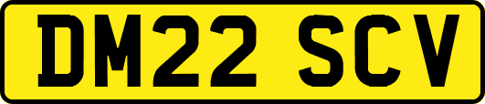 DM22SCV