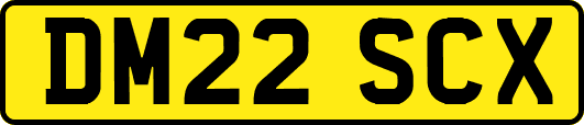 DM22SCX