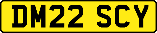 DM22SCY