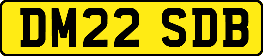 DM22SDB