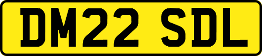 DM22SDL