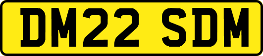 DM22SDM