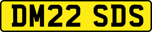 DM22SDS