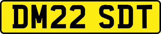 DM22SDT
