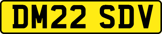 DM22SDV