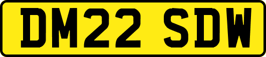 DM22SDW