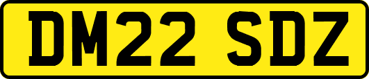 DM22SDZ
