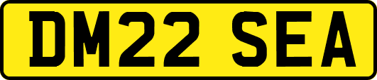DM22SEA