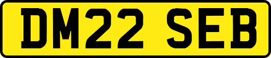 DM22SEB