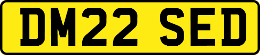 DM22SED