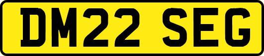 DM22SEG