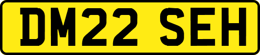 DM22SEH