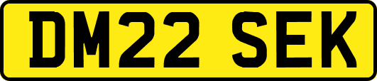 DM22SEK