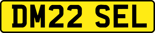 DM22SEL