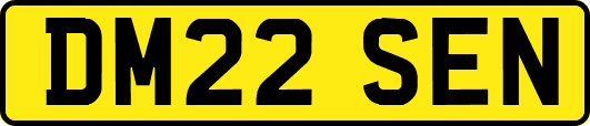 DM22SEN