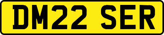DM22SER