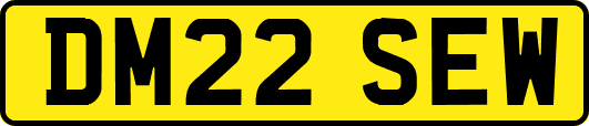 DM22SEW