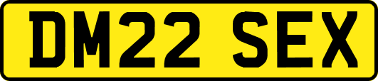 DM22SEX
