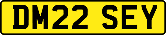 DM22SEY