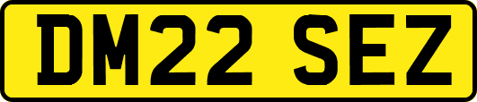 DM22SEZ