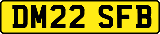 DM22SFB