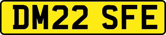DM22SFE