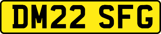 DM22SFG