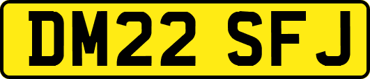 DM22SFJ