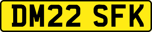 DM22SFK