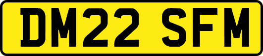 DM22SFM