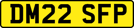 DM22SFP