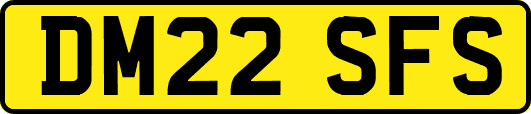 DM22SFS