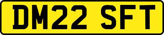 DM22SFT