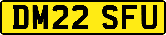 DM22SFU