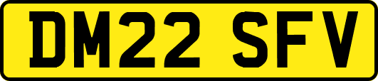 DM22SFV