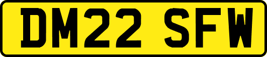 DM22SFW