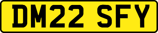 DM22SFY