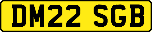 DM22SGB