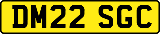 DM22SGC