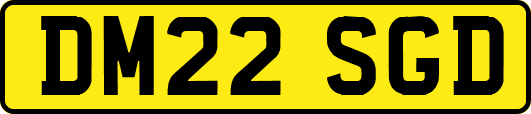 DM22SGD
