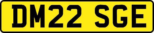 DM22SGE