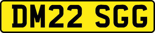 DM22SGG